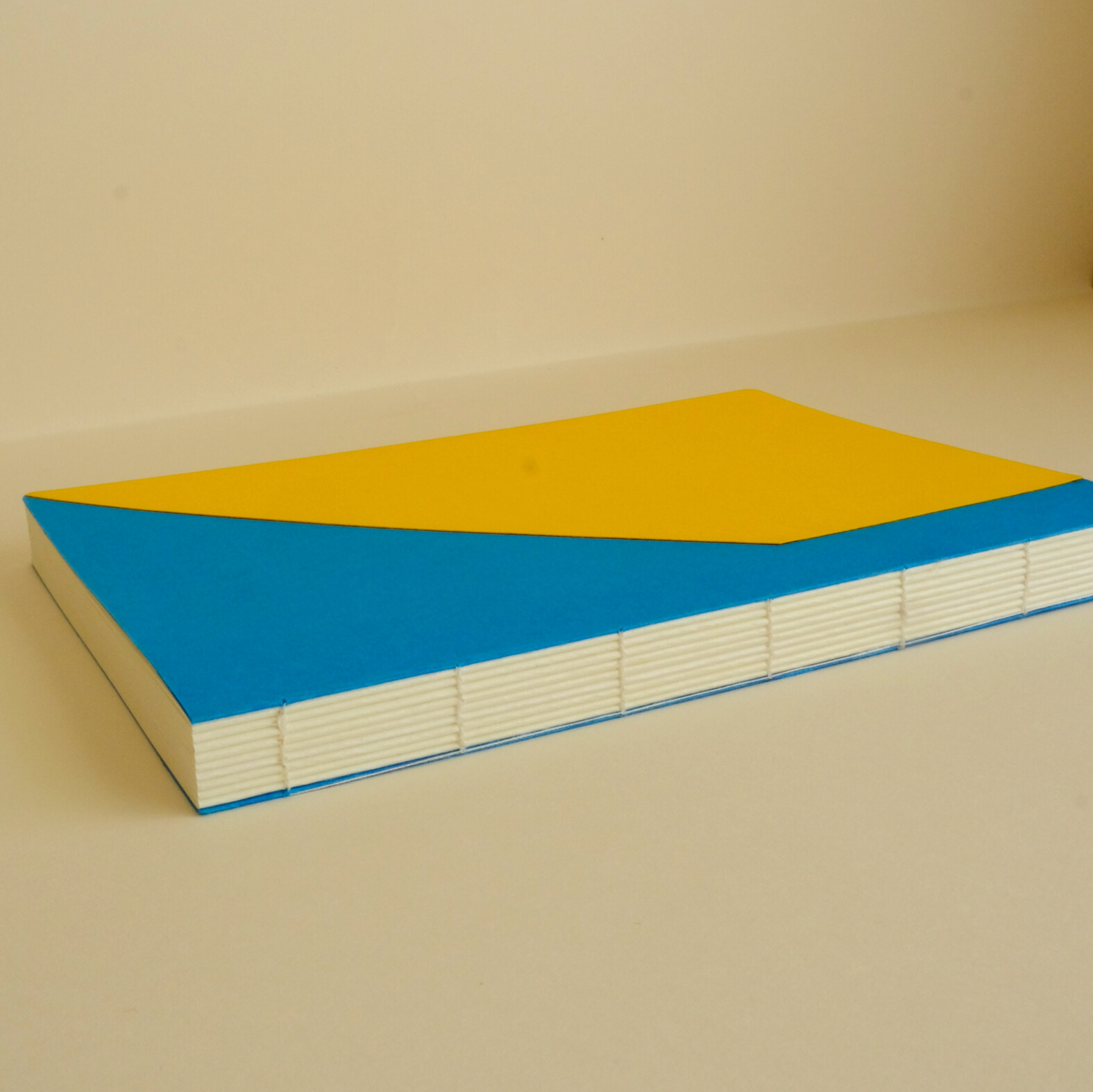 Wings Notebook by A C H A R A Stationery