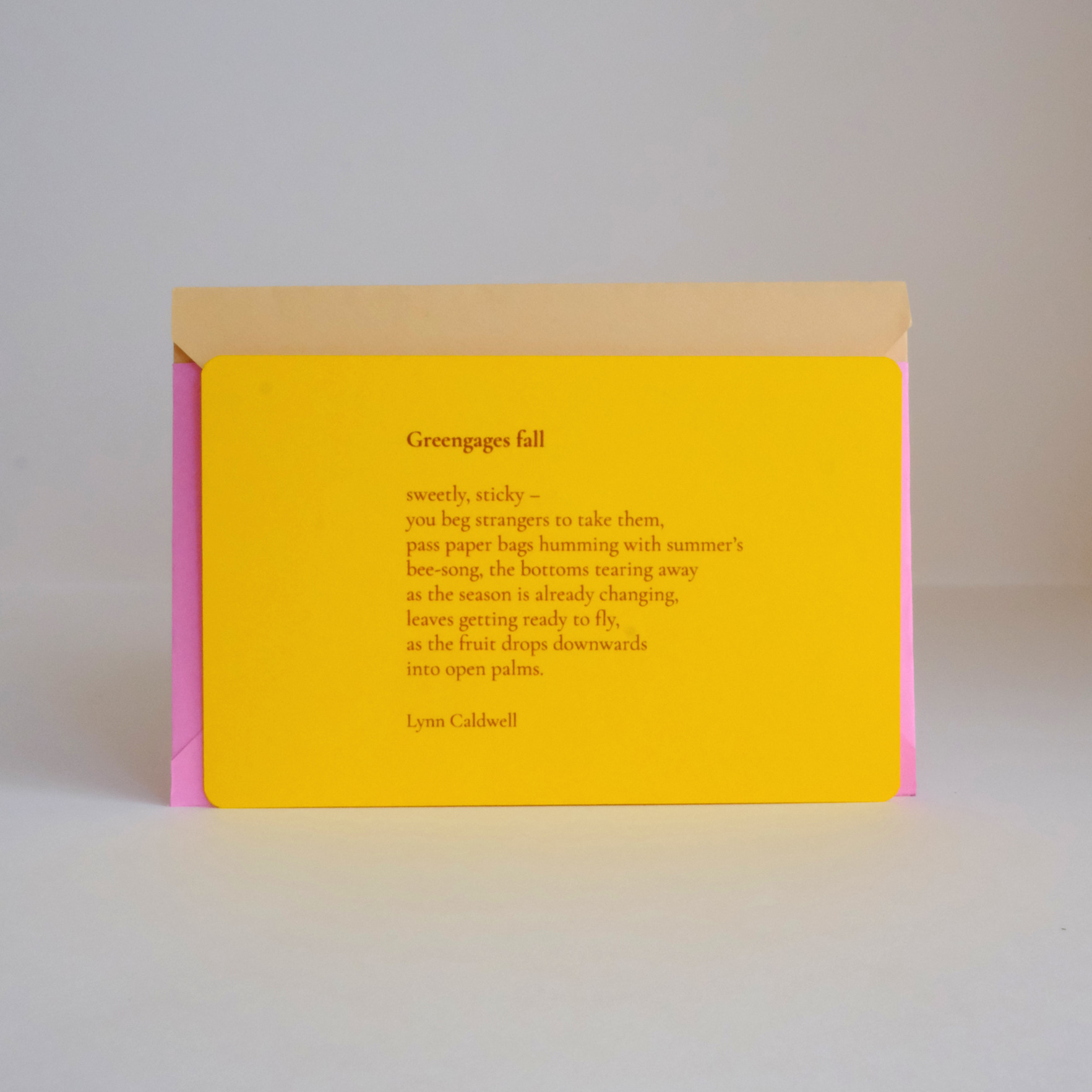 Greengages Fall Note Set - Poetry in Motion - A C H A C H A R A Stationery